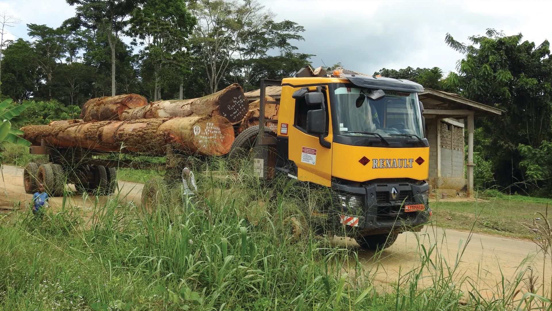 Focus sur le transport de grumes.